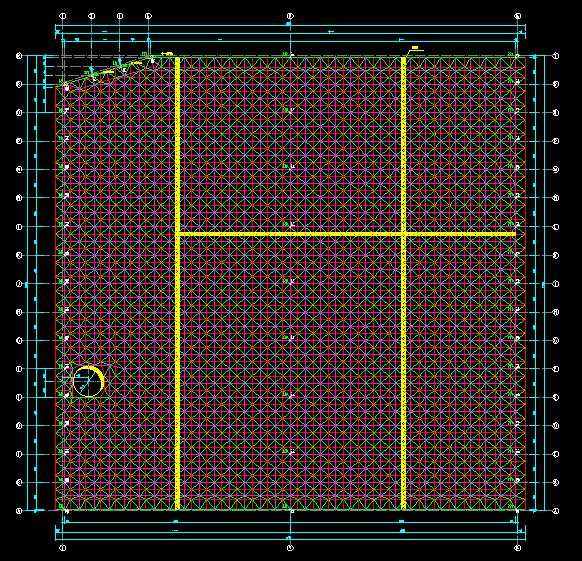 汕尾东营金岭化工大王煤棚网架